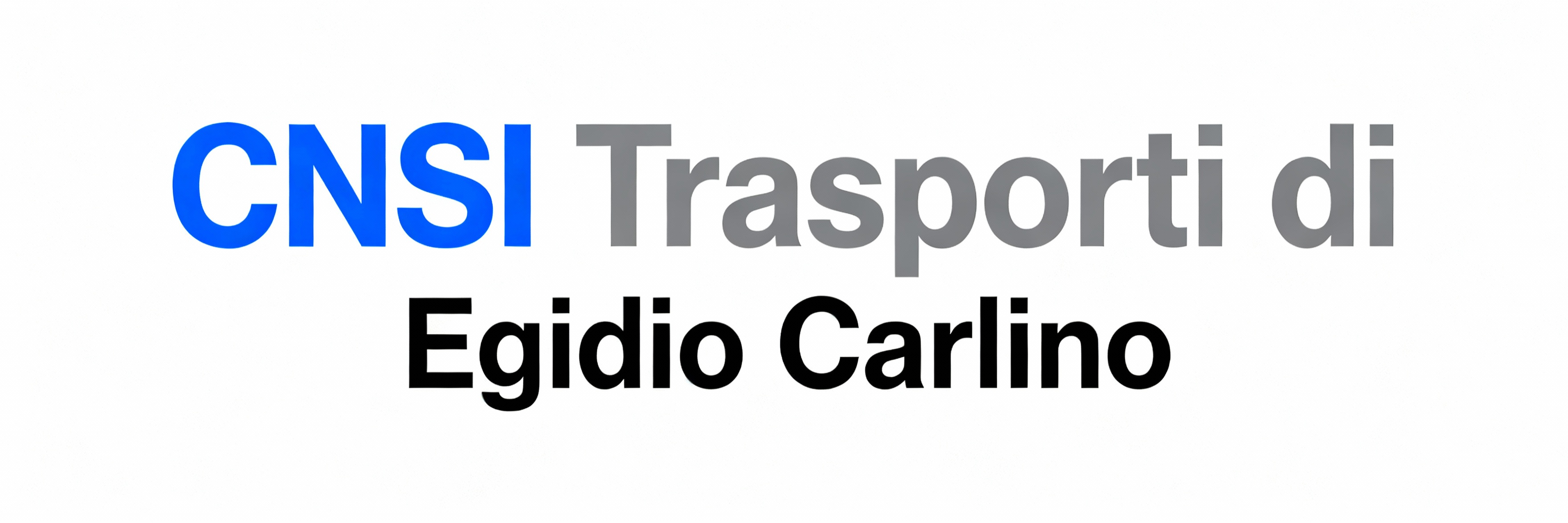 Testo CNSI